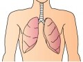 気胸の症状…咳や呼吸困難、胸痛など、検査・治療方法