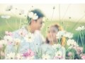 「彼女はいらない」彼への接近法