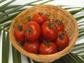 売切れ続出！普通のトマトがなぜ爆発的に売れ始めた？