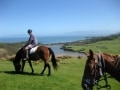 ニュージーランドで乗馬