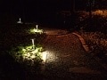 夜の庭のライトマジック