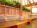 全ての浴槽が源泉掛け流し！ 「桜田温泉 山芳園」