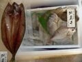 魚のアメ横、寺泊の魚市場