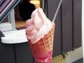 金沢、金澤烏鶏庵のソフトクリーム