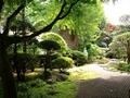 「竹の寺」の別名を持つ鎌倉の報国寺