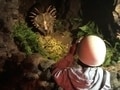 日本版ジュラシック・パーク!？ 小原洞窟恐竜ランド