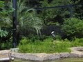 人も動物もいきいきと「高知県立のいち動物公園」
