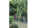 福岡で楽しめる水上の旅…水郷柳川のお堀めぐり