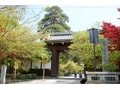 紅葉スポットとしても有名な京都「永観堂」