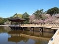 奈良公園で四季折々の景色を楽しめる「浮見堂」