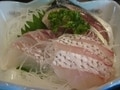 品川から1時間！ 「浦賀」で地魚を堪能
