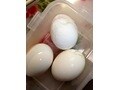ゆで卵のむき方：タッパーウエアに入れて振る