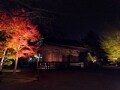 国宝白水阿弥陀堂　ソーラー発電の紅葉ライトアップ