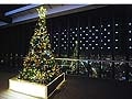 名古屋のイルミ2012Xmasツリー～名古屋駅・他