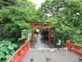 観光都市鎌倉の一番の名所 「鶴岡八幡宮」