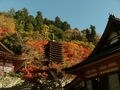 木造十三重塔 談山神社