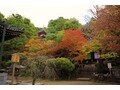 今熊野観音寺 幽寂な空間を彩る、美しい紅葉