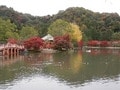 福島県「白水阿弥陀堂」の紅葉＆ライトアップ