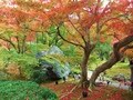 京都を代表する紅葉スポット「宝厳院」