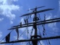 「ONE PIECE」に学ぶ人をワクワクさせ続ける方法