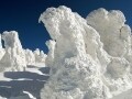 幻想的な白銀の世界へ！ 八甲田の樹氷