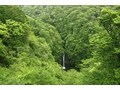 560haもの広さを誇る「那須平成の森」で森林浴