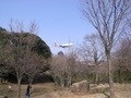 飛行機スレスレ「成田さくらの山公園」