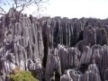 奇岩が連なる絶景の世界遺産！「石林風景名勝区」