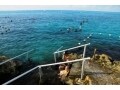 カリブ海の楽しさ満載の「チャンカナブ海洋公園」