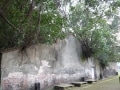 ガジュマルと歴史的建築物のコラボ!?台南の安平樹屋