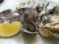 甘みがあって濃厚な九十九島の牡蛎