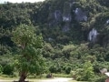 グアムのジャングルを散策