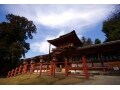奈良の日帰り旅行は奈良公園とならまち散策！