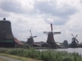 アムステルダムから程近い 風車村