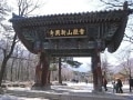 韓国が誇る世界自然遺産「雪岳山」の散策ツアー