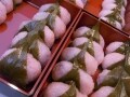桜の花見に桜餅はどうでしょう？
