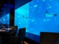 シンガポールの水族館に鉄人シェフの店がオープン！