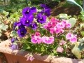 憧れのウッドデッキ、気をつけたい点
