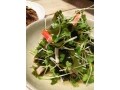 わかめのサラダ風酢の物
