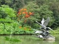 シンガポール植物園（ボタニックガーデン）