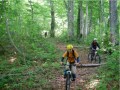 森の中を颯爽と走り抜ける マウンテンバイクツアー