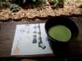 幻想的な竹が生い茂る報国寺で「抹茶体験」