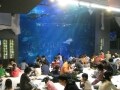 夜の新江ノ島水族館を満喫！「お泊りナイトツアー」