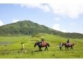 絶景が広がる阿蘇山の大草原で「乗馬体験」