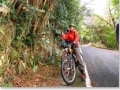 屋久島をマウンテンバイクで走ろう！