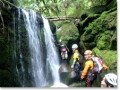 屋久島で大人気！美しい自然のなかで沢登り体験