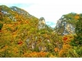 昇仙峡ラインで紅葉の絶景ドライブ！