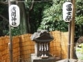 水稲荷神社の高田富士の山頂に登り、鐘を叩く