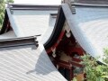 鎌倉ならではの市場動向と注目物件