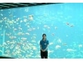 日本で一番標高が高い海水水族館「箱根園水族館」